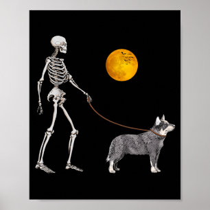 Poster Cachorro Esqueleto de Gado Australiano Caminhando