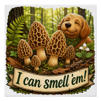Pôster Cachorro Feliz Cheirando Cogumelos Morel - Amor pe
