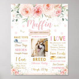 Poster Cachorro Floral Cor-de-Rosa Esbranquiçado Etapa do