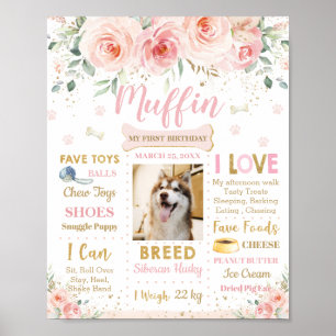 Poster Cachorro Floral Cor-de-Rosa Esbranquiçado Etapa do