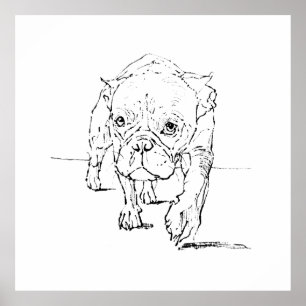 Poster Cachorro francês fofo, Ilustração de cachorro