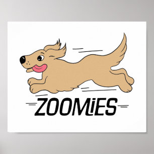 Poster Cachorro Frenético