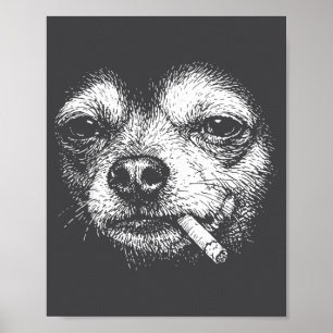Poster Cachorro Fumando Cigarro Engraçado Chihuahua Meme