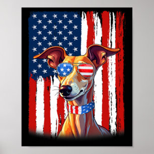 Poster Cachorro Galgo Italiano Bandeira América EUA 4 De