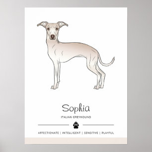 Poster Cachorro Gelado Italiano Com Texto Personalizado