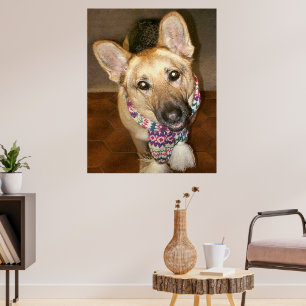 Poster Cachorro German shepherd Bonito e Adorável com Sca