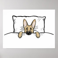 Cachorro German shepherd Cortado na Cama
