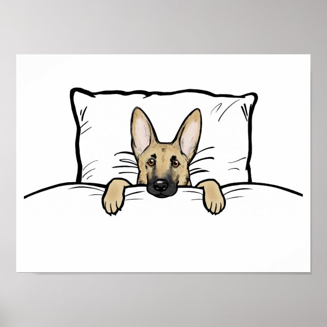 Poster Cachorro German shepherd Cortado na Cama (Frente)