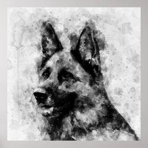 Poster Cachorro german shepherd Preto e Branco Aquarela