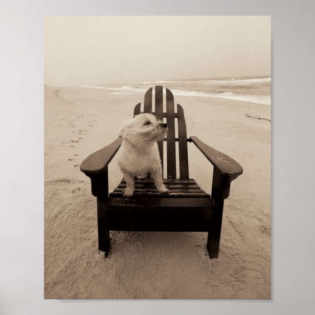 Poster Cachorro gostando da praia (Frente)