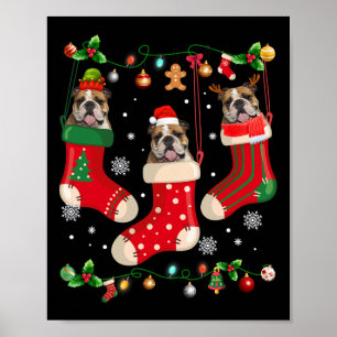 Poster Cachorro Inglês em Papais noeis de Natal em Choque