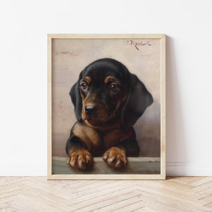 Poster Cachorro jovem da raça Dachshund   Carl Reichert