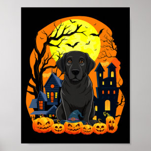 Poster Cachorro Labrador Preto Com Abóboras Engraçado Ass