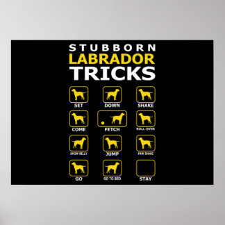 Poster Cachorro Labrador Tubarão Engraçado