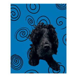 Pôster Cachorro Louco