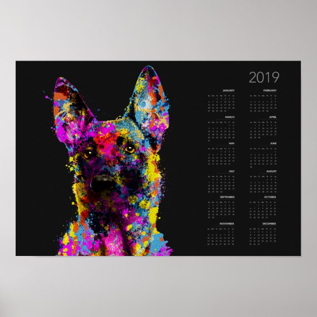 Poster Cachorro Malinois- pastor belga —Calendário 2019 (Frente)
