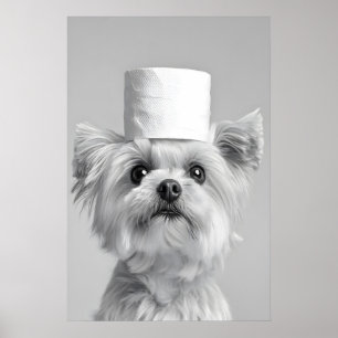 Poster Cachorro Maltês Engraçado com Chapéu de Papel Higi