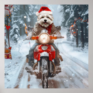 Poster Cachorro Maltês Pilotando Moto Natal