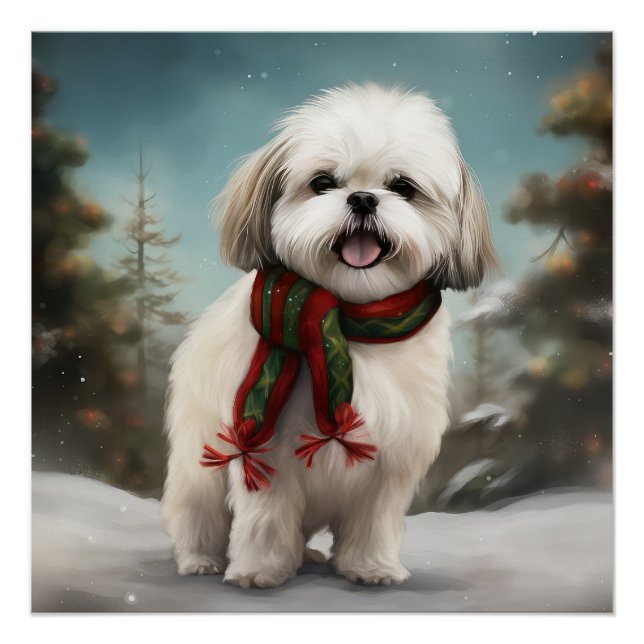 Pôster Cachorro Malti Tzu na Neve Natal (Frente)