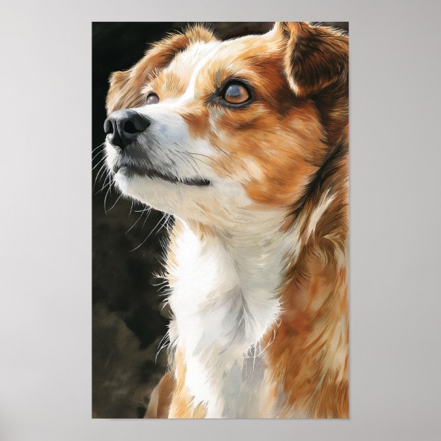 Poster Cachorro mestiço de chihuahua terrier closeup (Frente)