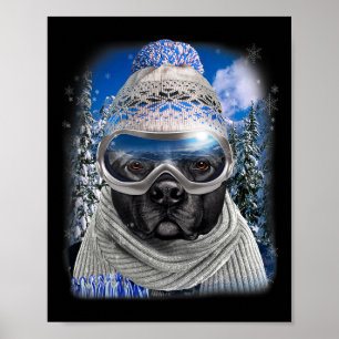 Poster Cachorro Negra Touro Em Esqui De Inverno