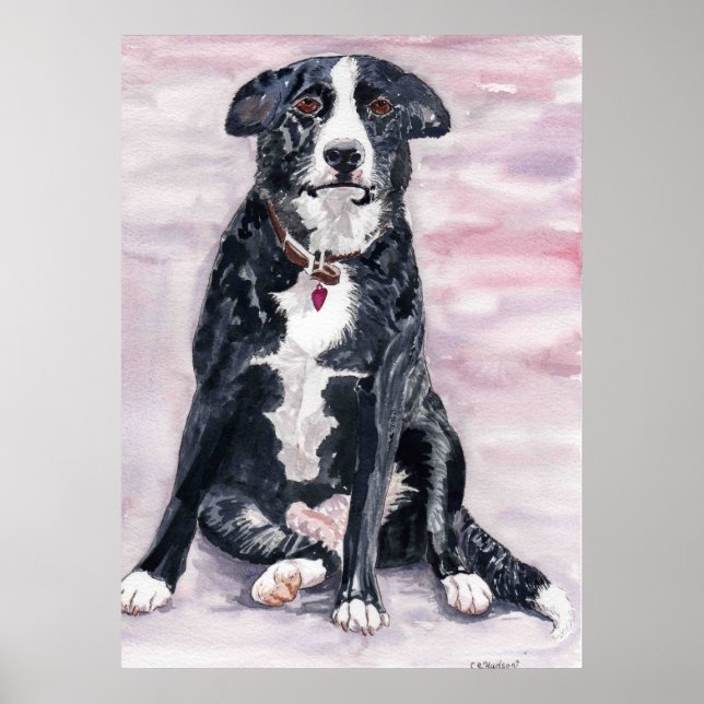 poster 'Cachorro Negro' (Frente)