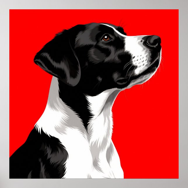 Poster Cachorro Negro e Branco sobre fundo vermelho escur (Frente)