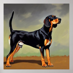 Poster Cachorro Negro e Tan Coonhound