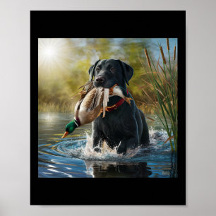 Poster Cachorro Negro Labrador Retriever Cachorando Patos