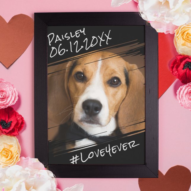 Poster Cachorro Negro Simples Elegante Chic (Criador carregado)