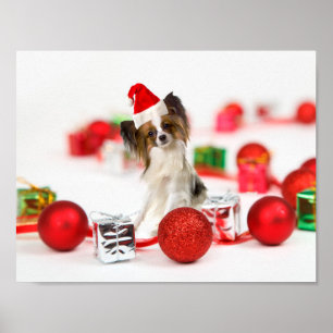 Pôster Cachorro Papillon Fofo Chapéu de Natal do Papai No