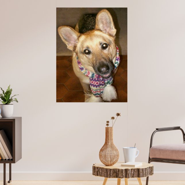 Poster Cachorro Pastor Alemão Fofo e Amável com Cachecol (Sala de Estar 3)