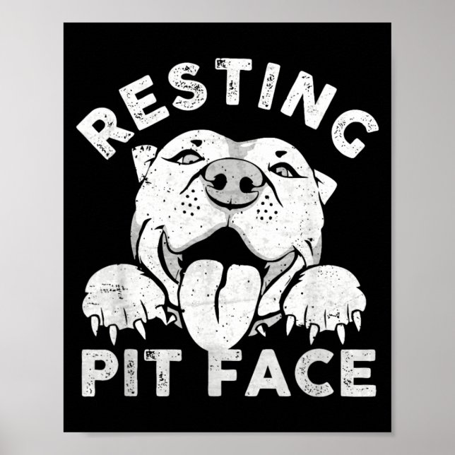 Poster Cachorro Pitbull Descansando Rosto de Pit Humor Sa (Frente)