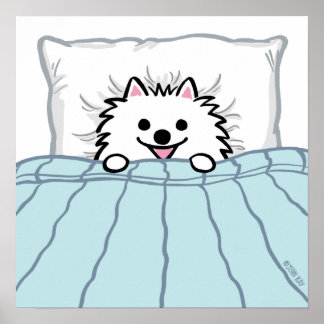 Poster Cachorro Pomerano Branco-Cachado na Cama