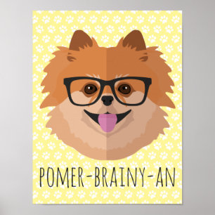 Pôster Cachorro Pomerano Em Óculos De Nerd   POMER-BRAINY