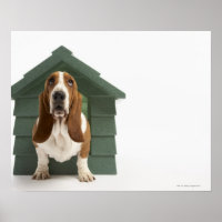 Cachorro por doghouse