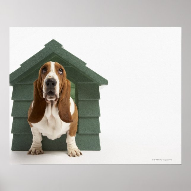 Pôster Cachorro por doghouse (Frente)