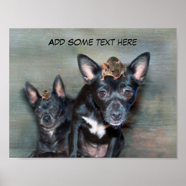 Poster Cachorro preto Chihuahua com texto personalizado d (Frente)