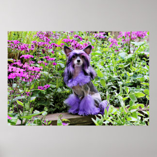 Pôster Cachorro Púrpura Pecado Chinês em Flores Rosa