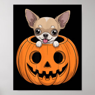 Poster Cachorro-quente Chihuahua Fofo No Abóbora Dia Das