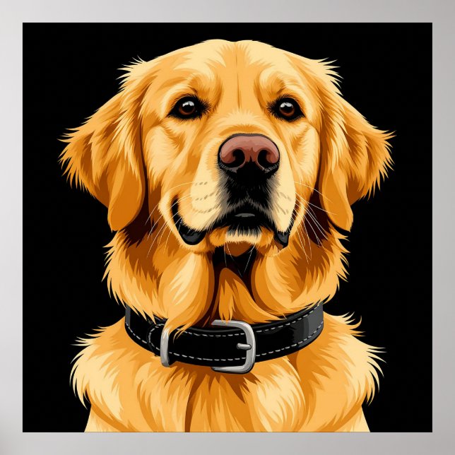 Poster Cachorro Retriever Dourado com Colar Preto (Frente)