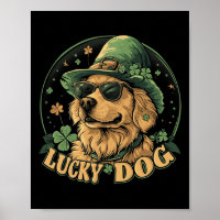 Cachorro Retriever Dourado - Dia de São Patrício S