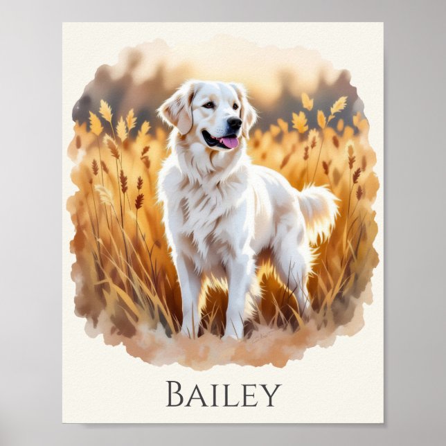 Poster Cachorro Retriever Golden Branco (Frente)