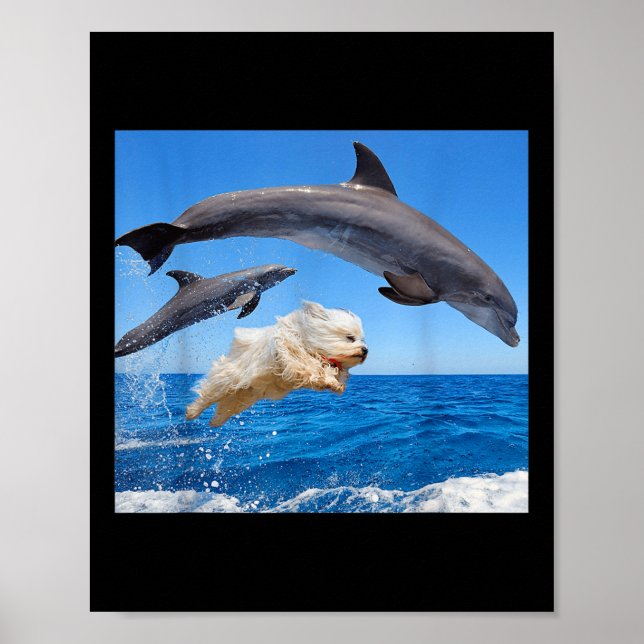 Poster Cachorro Salta Com Golfinho Para Homens Mulheres  (Frente)