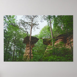 Poster Cachorro Saltando de Stand Rock em Wisconsin Dells
