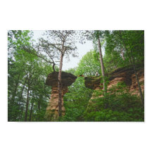 Cachorro Saltando de Stand Rock em Wisconsin Dells