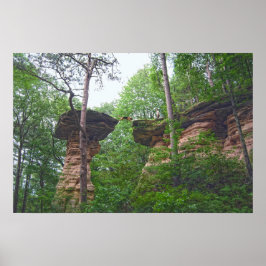 Poster Cachorro Saltando de Stand Rock em Wisconsin Dells