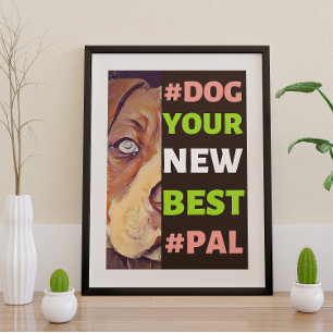 Poster #Cachorro, seu novo melhor #Pal...Pitbull