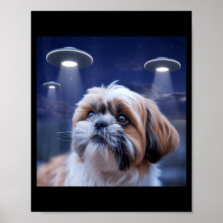 Poster Cachorro shih tzu cachorro shihtzu alienígena ufos