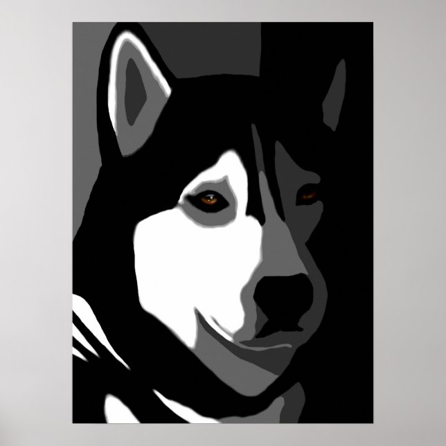 Poster Cachorro Siberiano Husky 162 (Frente)